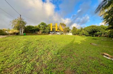 Vente Terrain Petite île