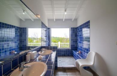 Propriété de 2 villas vue mer aux Terres Basses