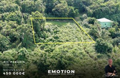 Terrain viabilisé   3000 m2 dont 1500 m2  en zone verte - Pic Paradis   Nouveau mandat simple