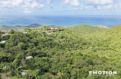 Terrain viabilisé   3000 m2 dont 1500 m2  en zone verte - Pic Paradis   Nouveau mandat simple