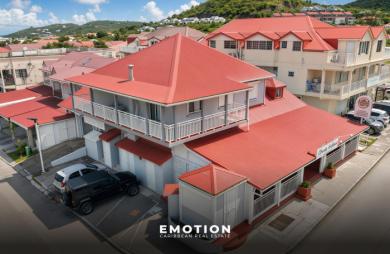 Ensemble Immobilier Mixte