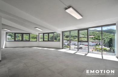 LOCAL COMMERCIAL 70 m2 - BELLEVUE