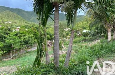 Vente Terrain 2000m&sup2; Saint Martin