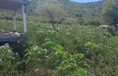 Vente Terrain 2150m&sup2; Saint Martin