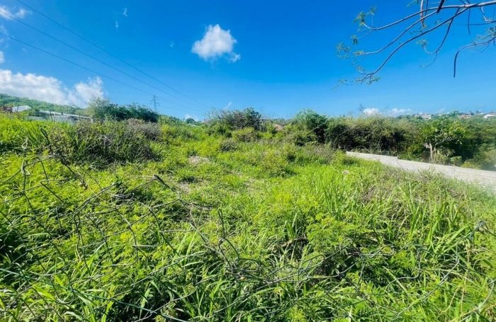 Vente Terrain 97119