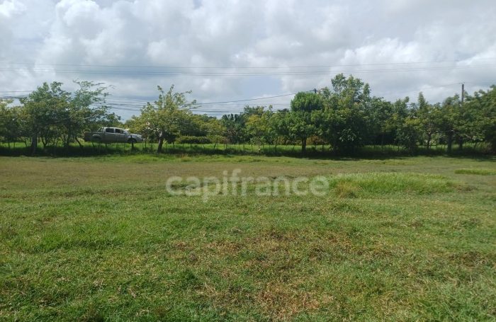 Vente Terrain 97131