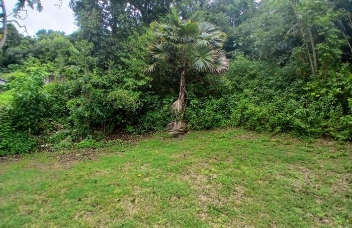 Vente Terrain 97190