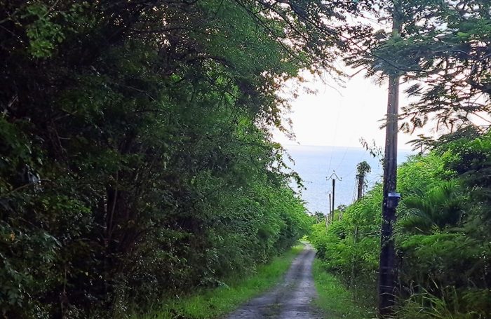 Vente Terrain 