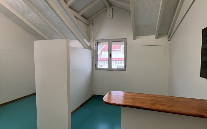 Location Local professionnel 