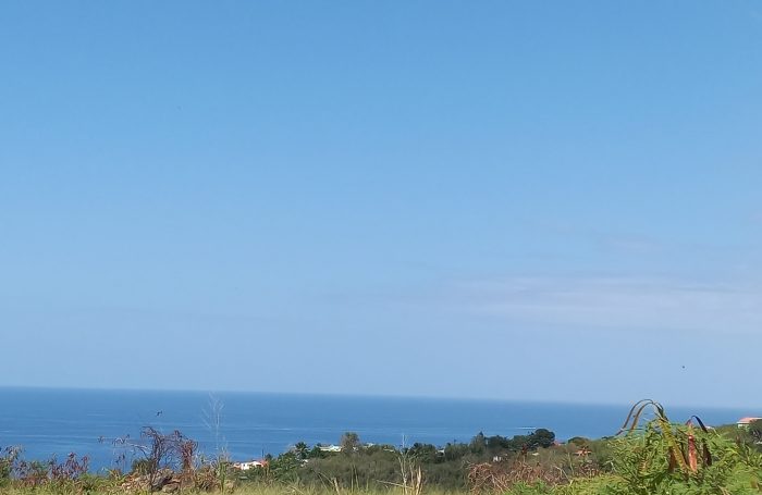 Vente Terrain 97119