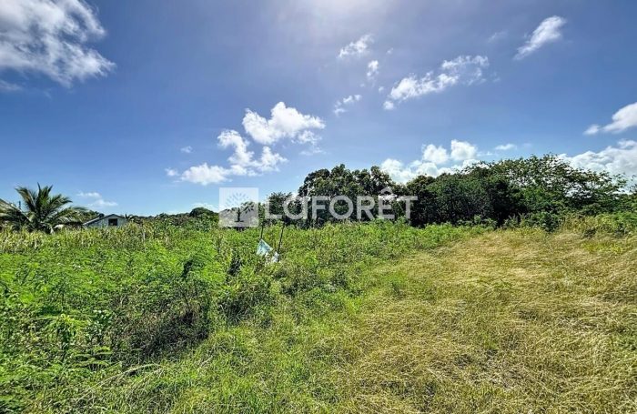 Vente Terrain 
