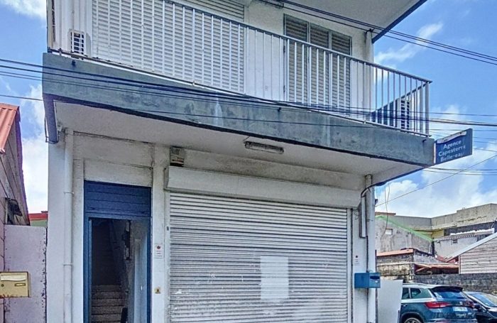 Vente Maison 97130