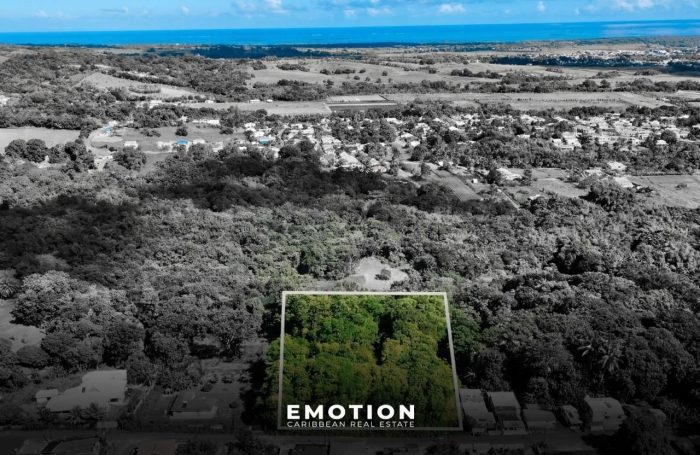 Vente Terrain 97115