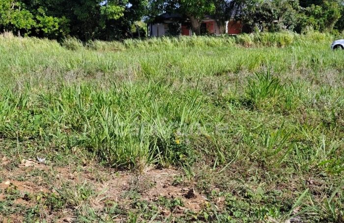 Vente Terrain 97115