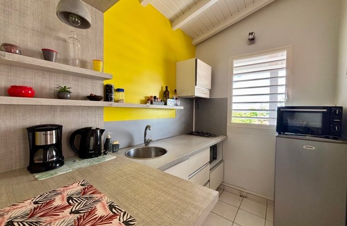 Location Appartement 97190