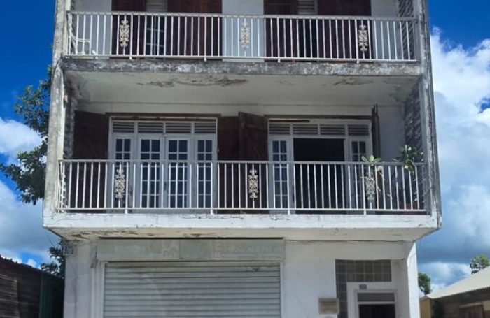 Vente Immeuble 