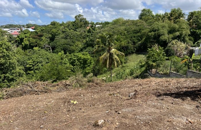 Vente Terrain 97190