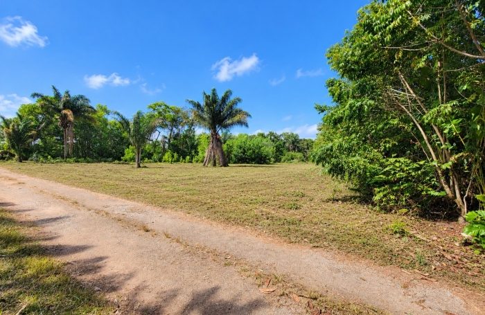 Vente Terrain 97355