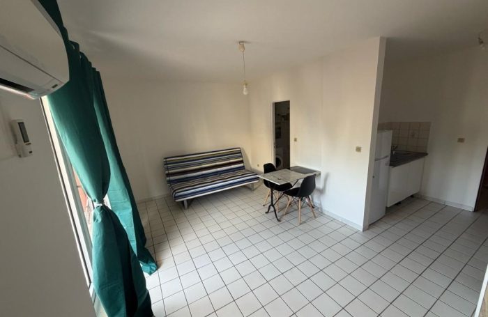 Location Appartement 97354