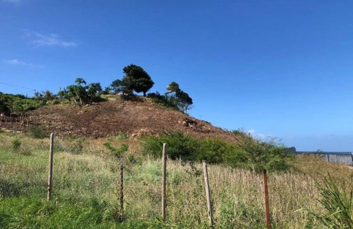 Vente Terrain 97290