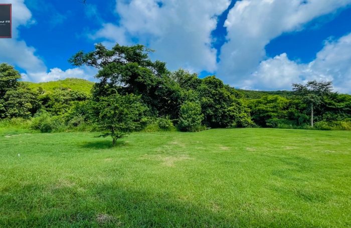 Vente Terrain 97227