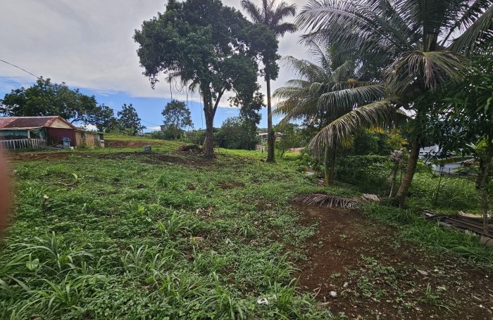 Vente Terrain 97230