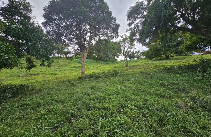 Vente Terrain 97231