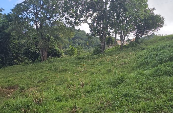 Vente Terrain 97231