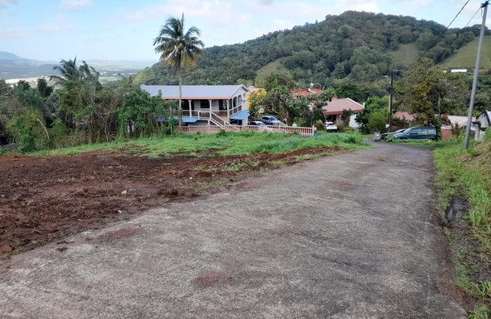 Vente Terrain 97215
