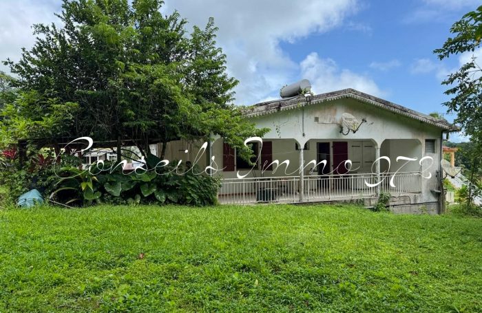 Vente Maison 97216