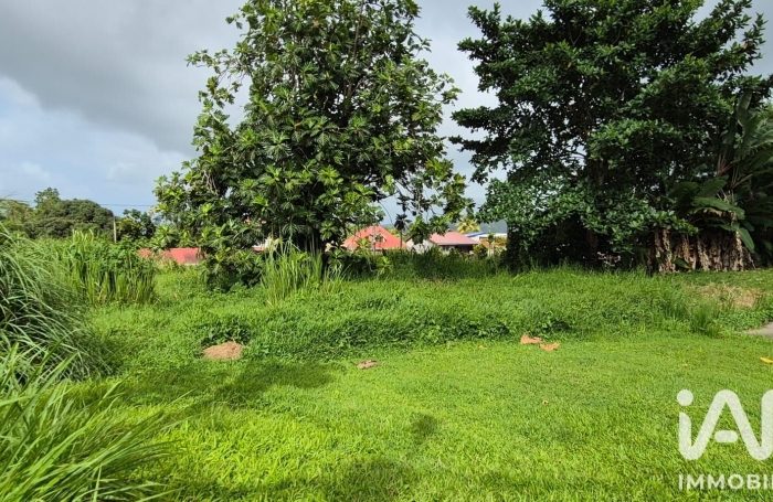 Vente Terrain 97216