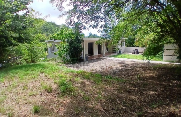 Vente Immeuble 97228