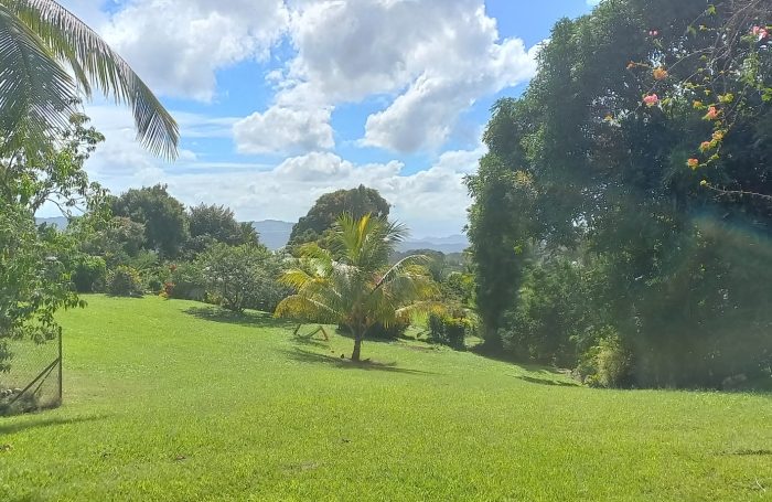 Vente Terrain 97212