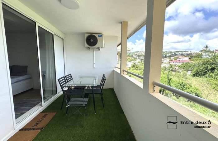 Location Appartement 97233