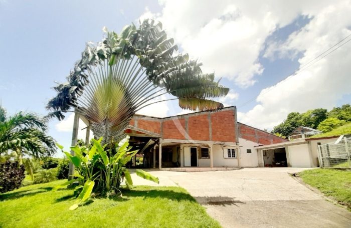 Vente Maison 