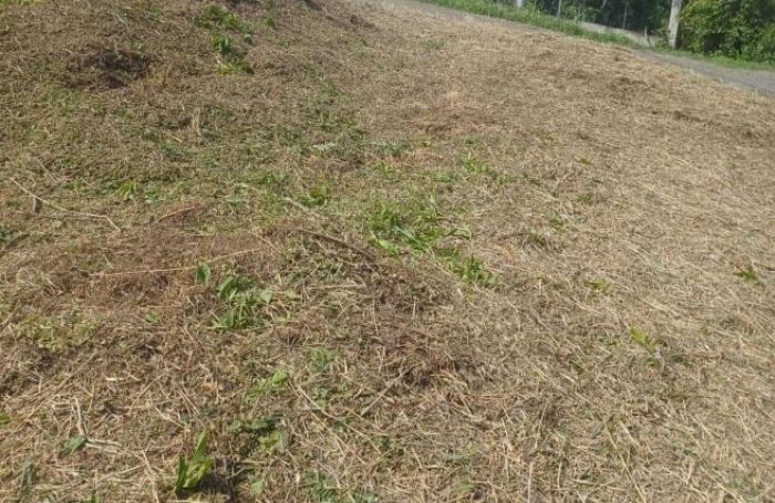 Vente Terrain 97240