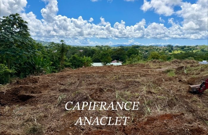 Vente Terrain 97231