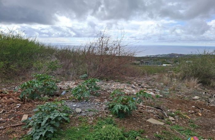 Vente Terrain 97434