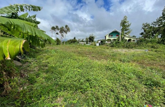 Vente Terrain 97470