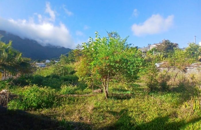 Vente Terrain 97421