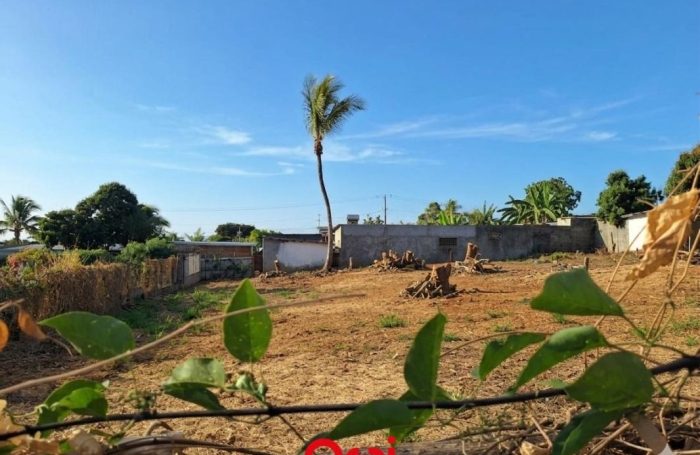 Vente Terrain 97435