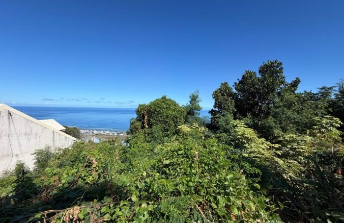 Vente Terrain 97436