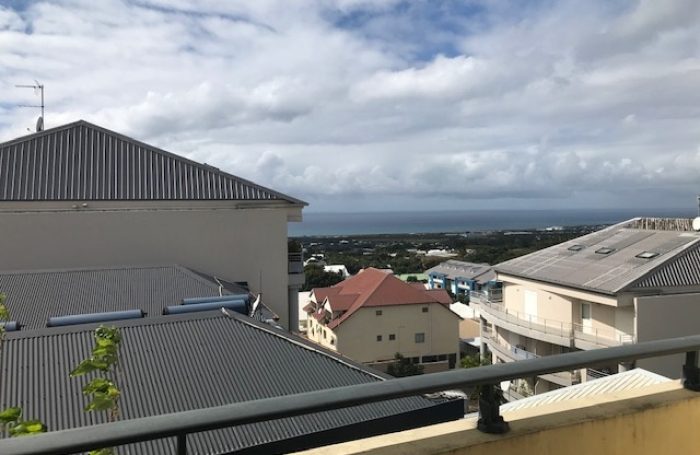 Vente Appartement 97400