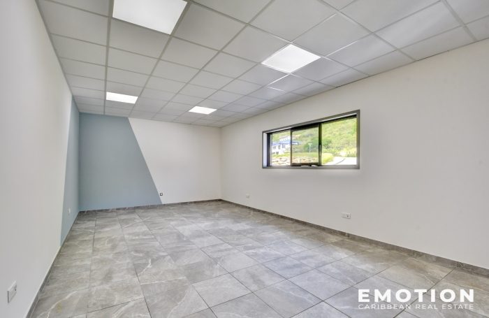 Location Local commercial 97150