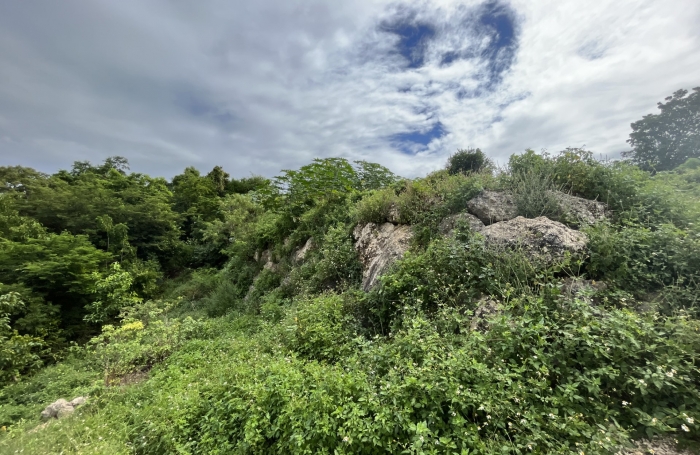 Opportunité Exceptionnelle : Terrain de 500m2 à Mare Gaillard