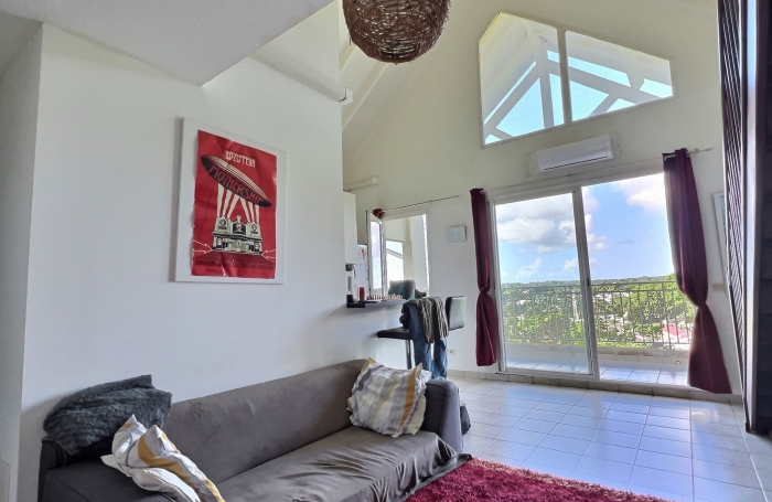 Duplex lumineux au dernier étage avec belle vue dégagée