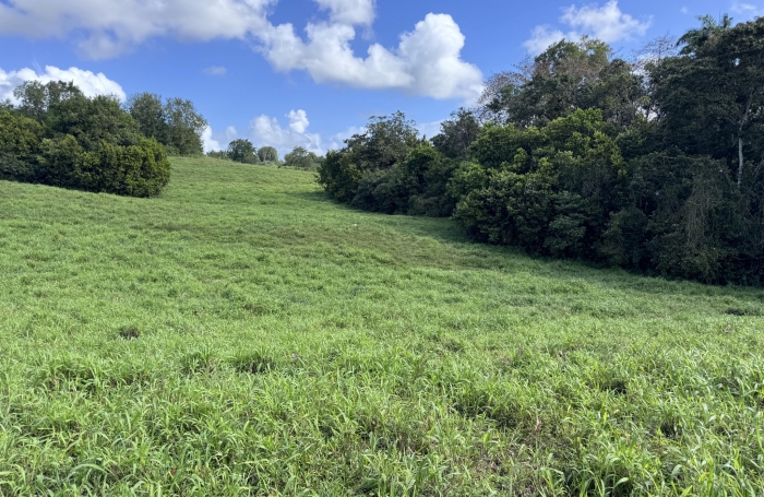 de terrain constructible  à Sainte-anne avec Longfort Immobilier