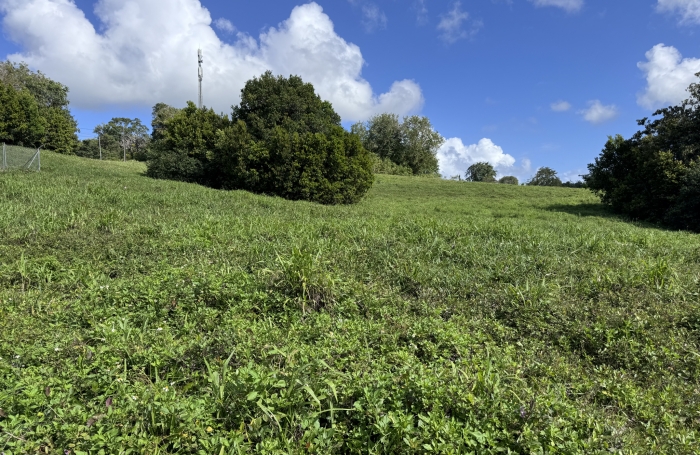 de terrain constructible  à Sainte-anne avec Longfort Immobilier