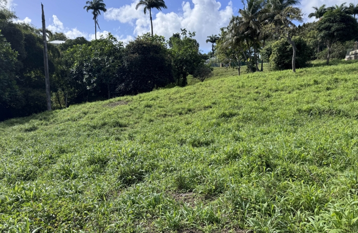 de terrain constructible  à Sainte-anne avec Longfort Immobilier