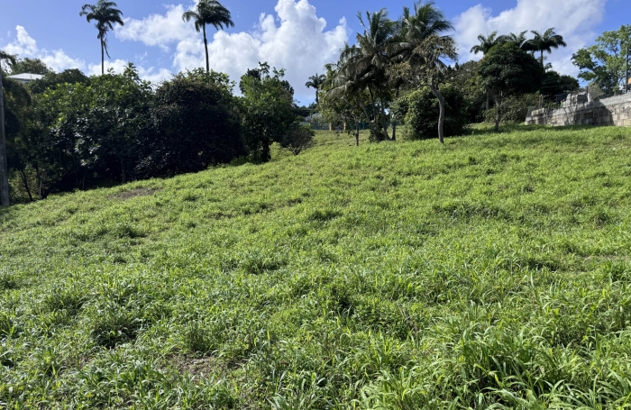 de terrain constructible  à Sainte-anne avec Longfort Immobilier